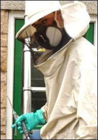 PPC  Belfast Pest Control 371794 Image 1